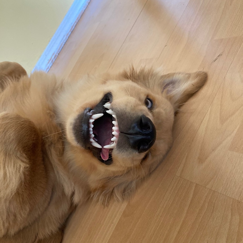 Meet your Posher, Christina